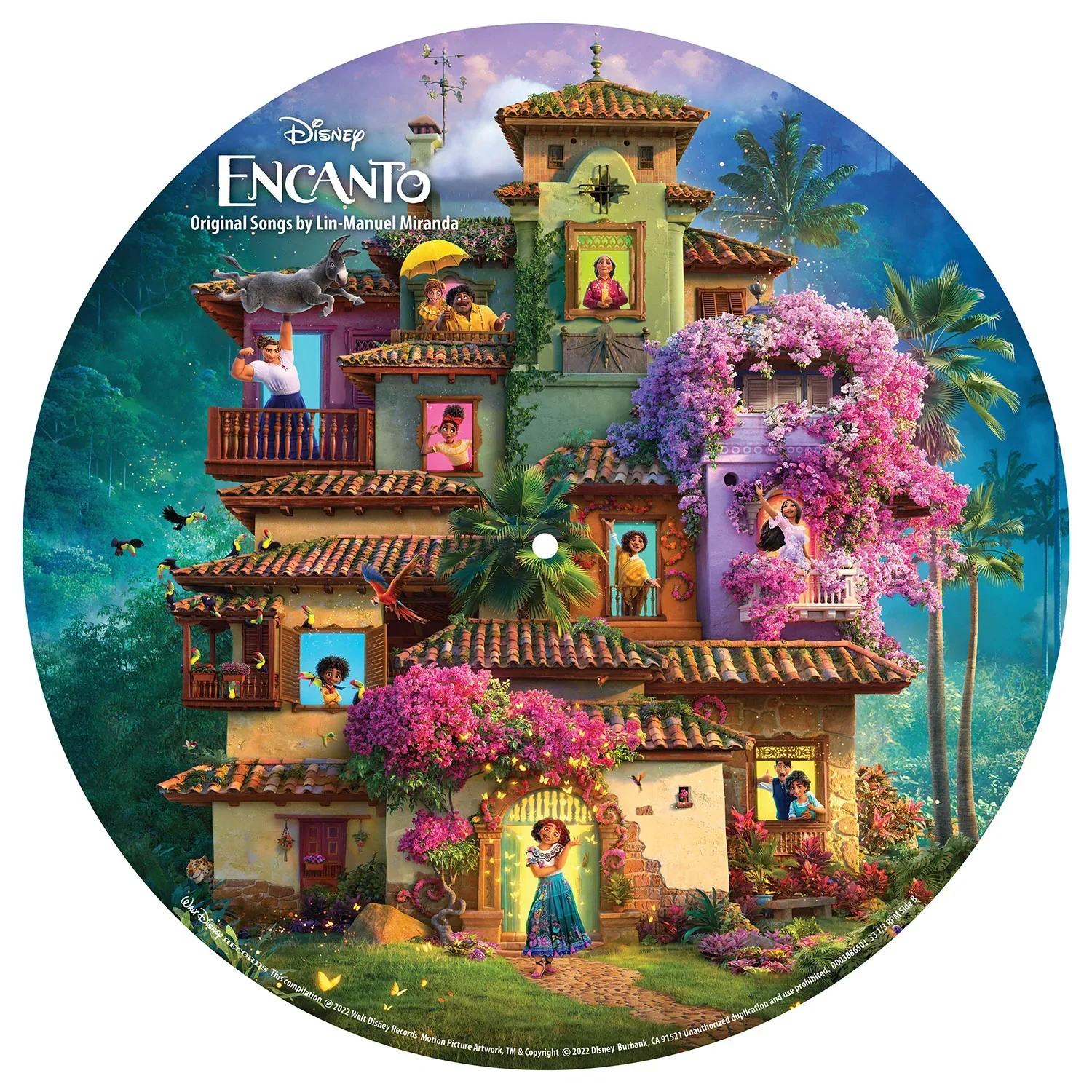 Encanto: Picture Disc Vinyl LP - Image 2